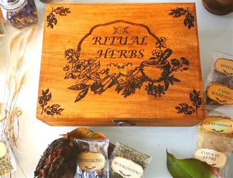 The Book of Shadows: An Herbal Grimoire for Modern Witches